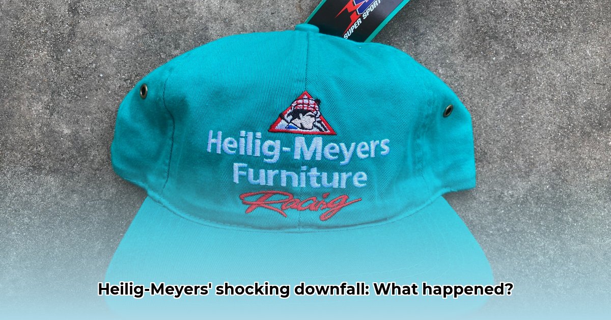 heilig-meyers